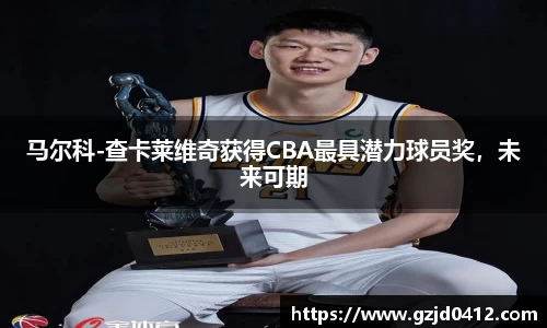 马尔科-查卡莱维奇获得CBA最具潜力球员奖，未来可期